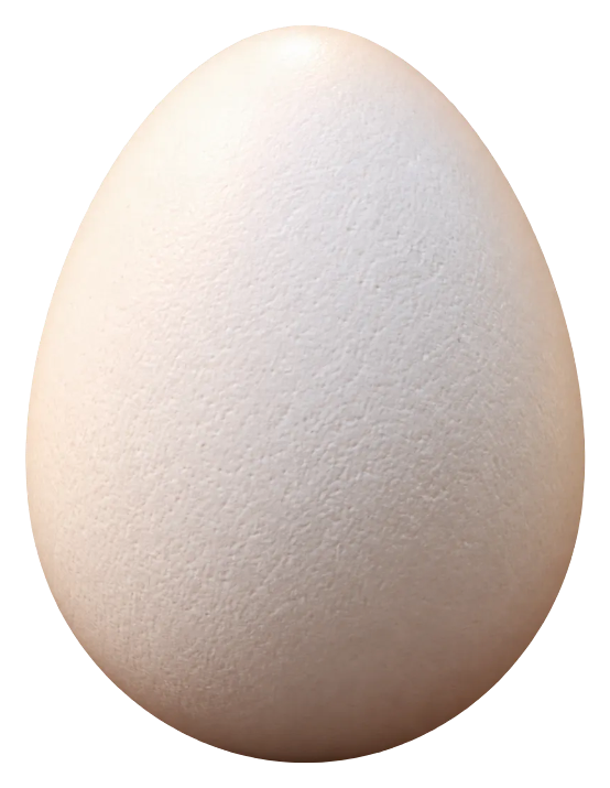 Real World Egg: a single plain, pale egg